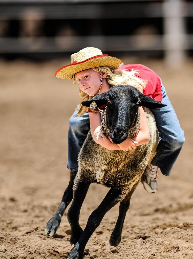 kid rodeo, cowgirl, sheep, rodeo, rodeo competition, rodeo, rodeo, rodeo, rodeo, rodeo