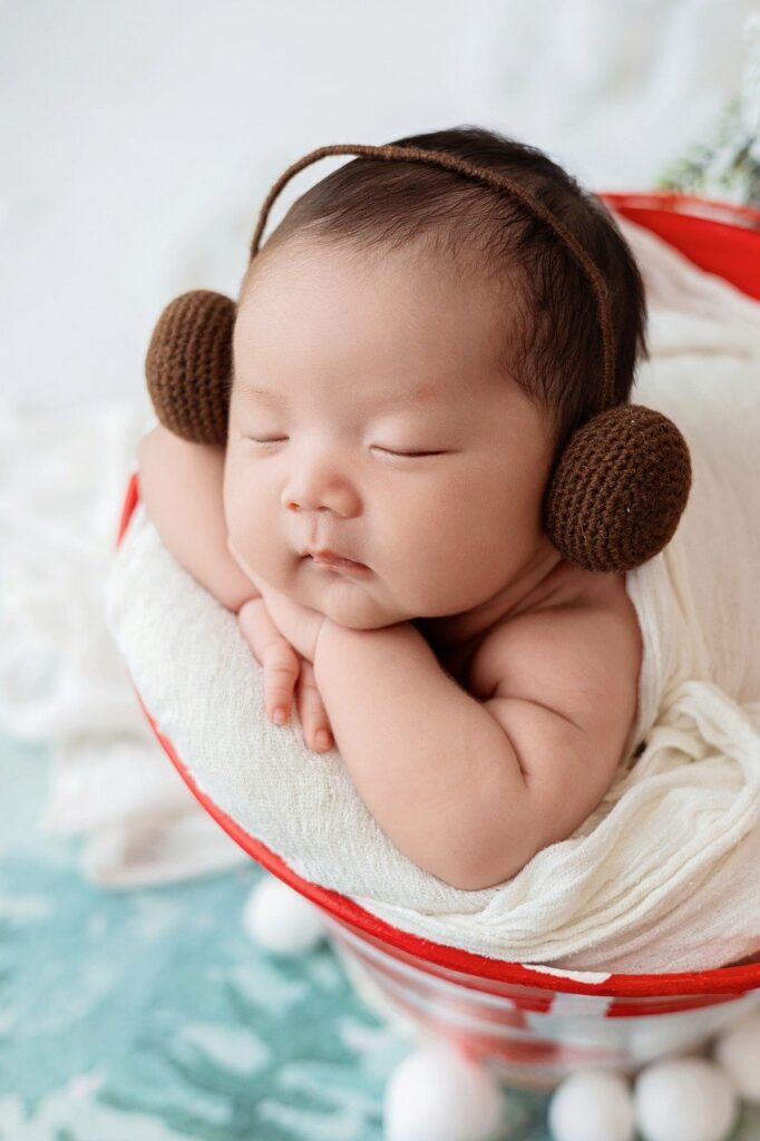 christmas, baby, tree, cute, cold, nature, cap, rest, basket, blanket, earmuffs, sleeping, joyful, sweet, peaceful, winter, newborn, muted, clothed, sign, portrait, blend
